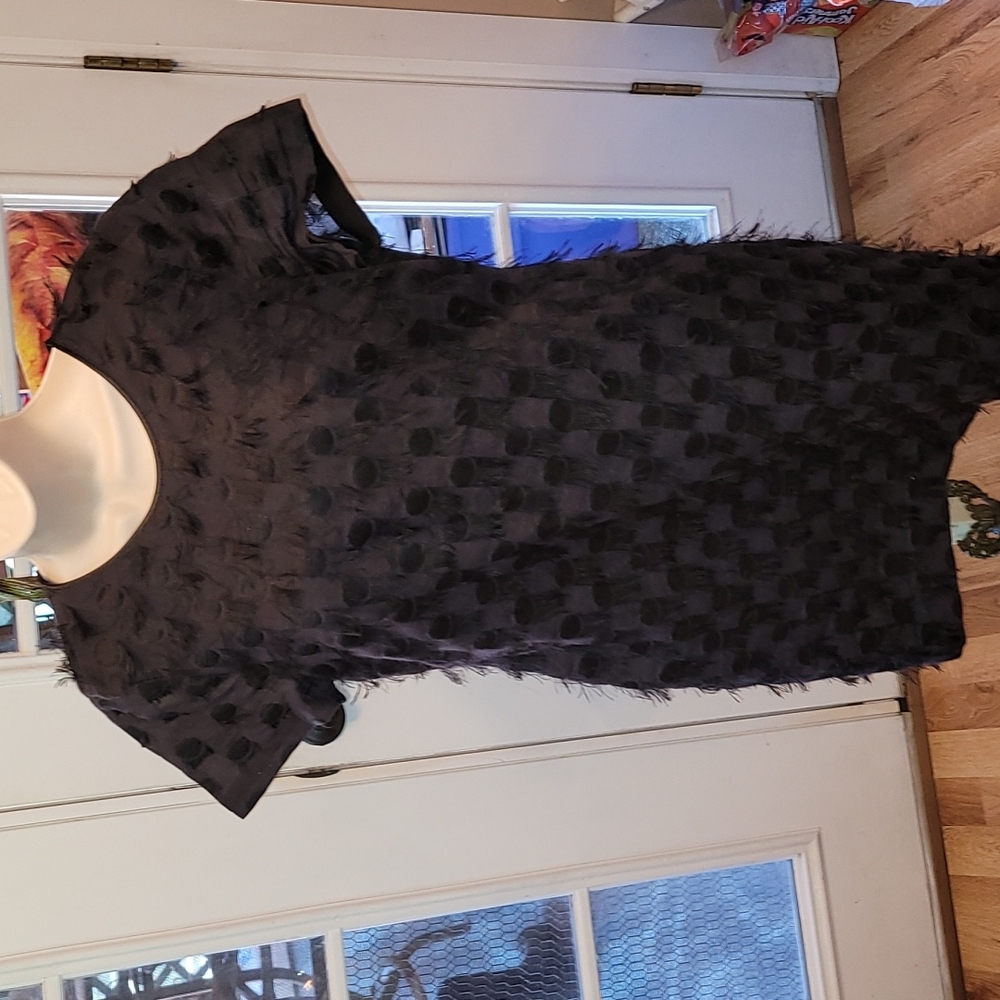Banana Republic Fringe Dress